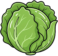 Lettuce
